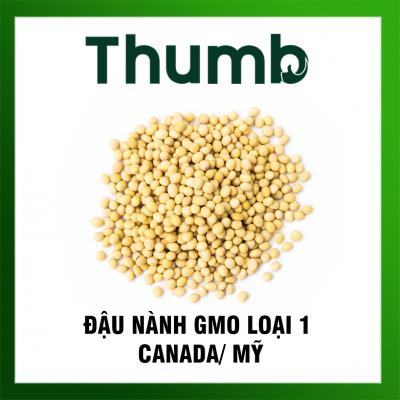 Đậu nành GMO mắt đen