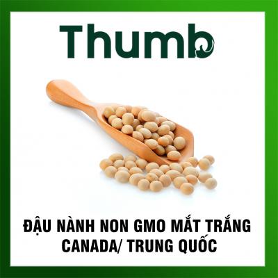 Đậu nành NON GMO mắt trắng
