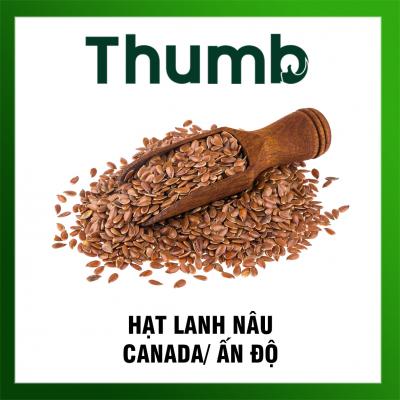 Hạt lanh nâu (40% lipit)