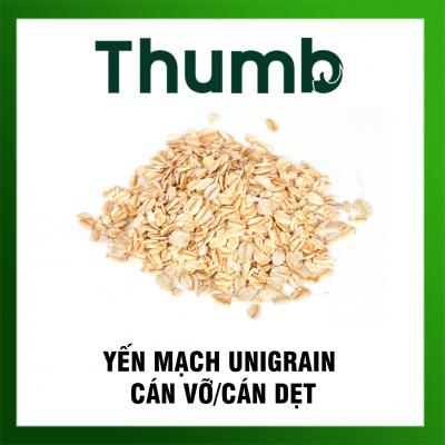 Yến mạch nguyên hạt/ cán vỡ/ cán dẹt